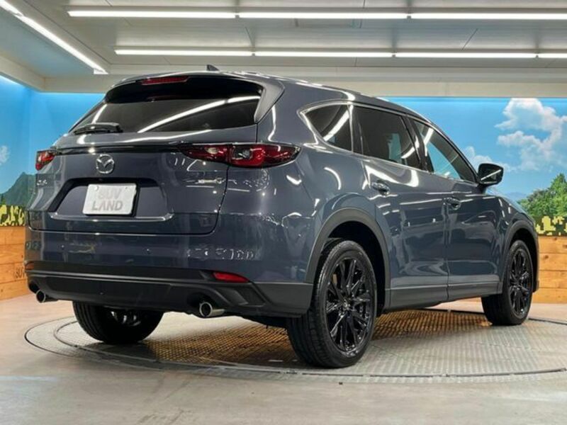 CX-8-16