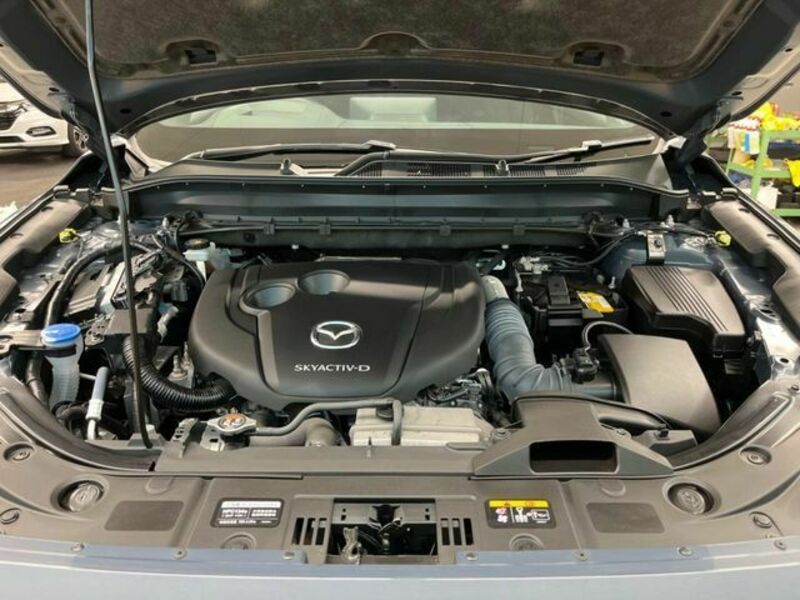 CX-8-17
