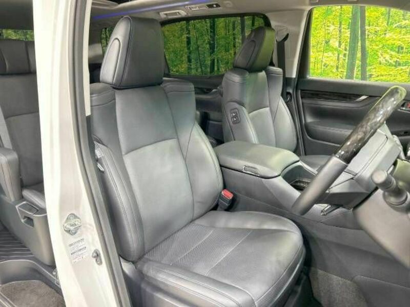 ALPHARD-8