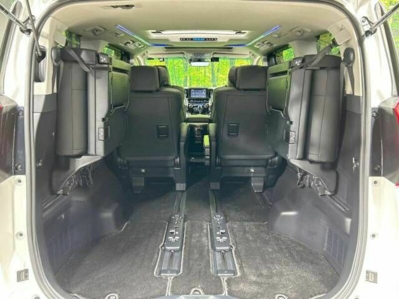 ALPHARD-10