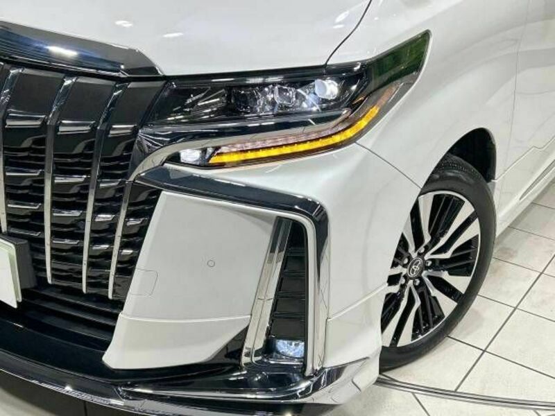 ALPHARD-12