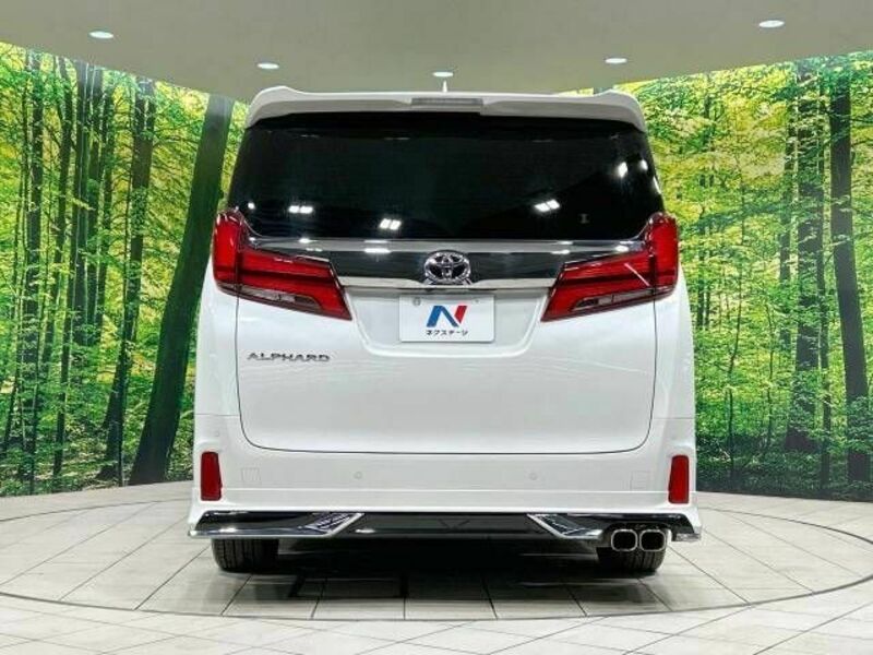 ALPHARD-15