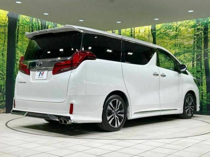 ALPHARD-17