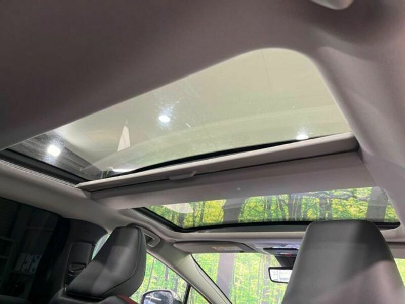 PRIUS-3