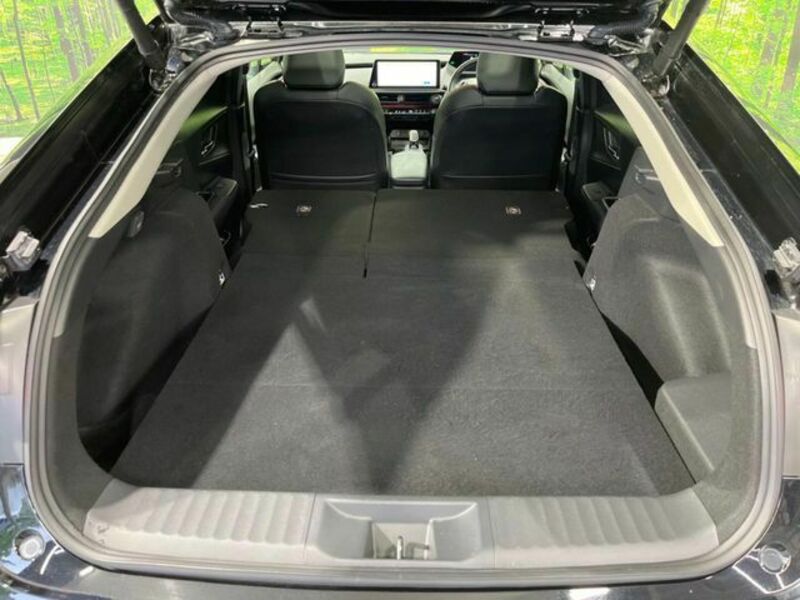 PRIUS-10