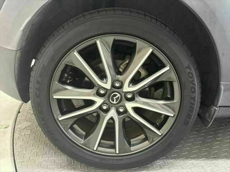 CX-3