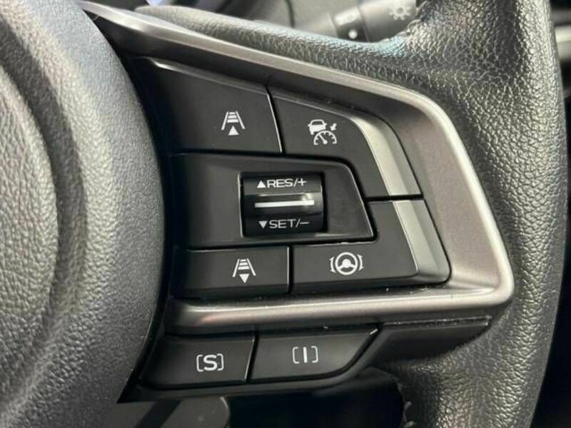 FORESTER-6