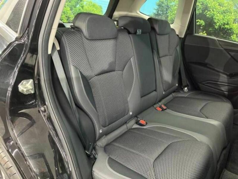 FORESTER-8