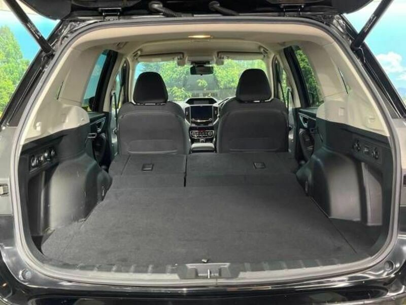 FORESTER-9