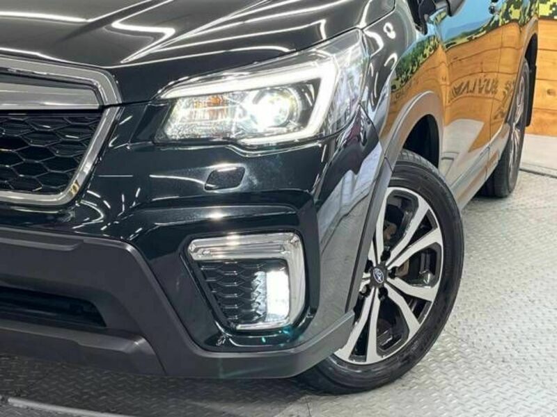 FORESTER-11