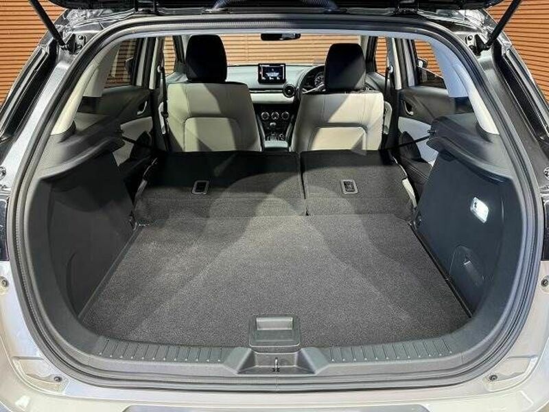 CX-3-19