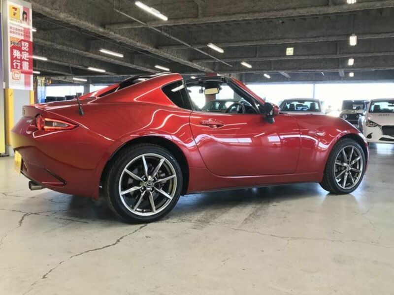 ROADSTER RF-14