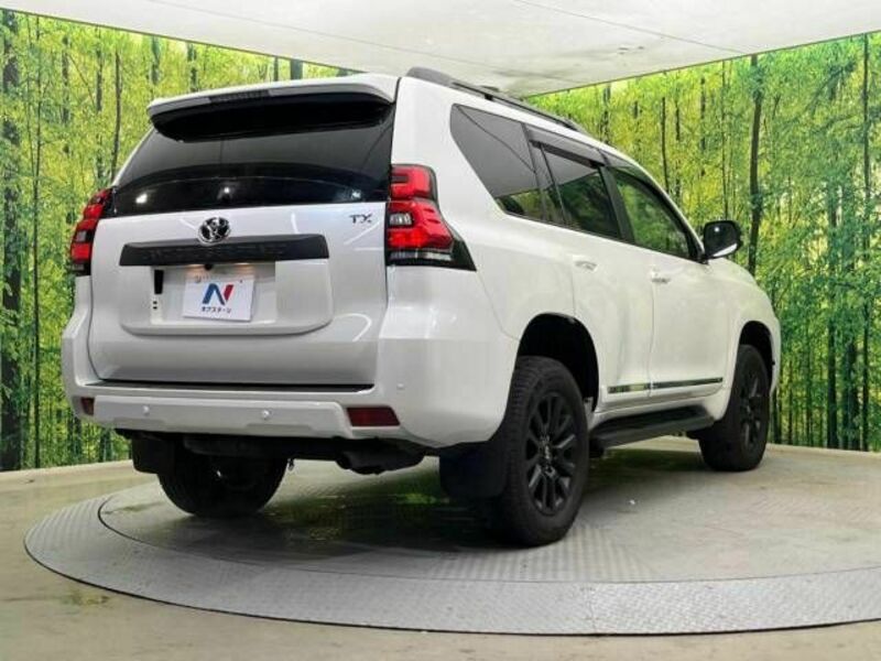 LAND CRUISER PRADO-18