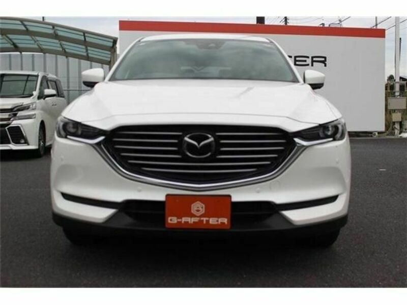 CX-8-6