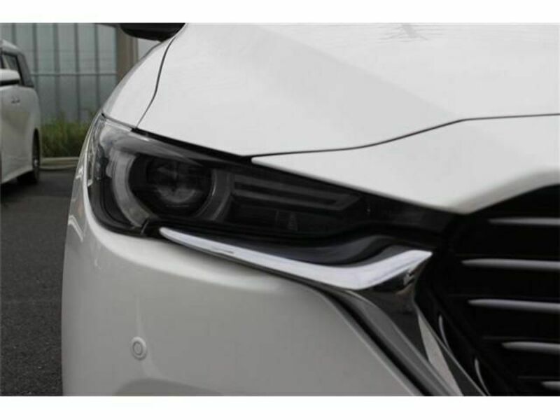 CX-8-10