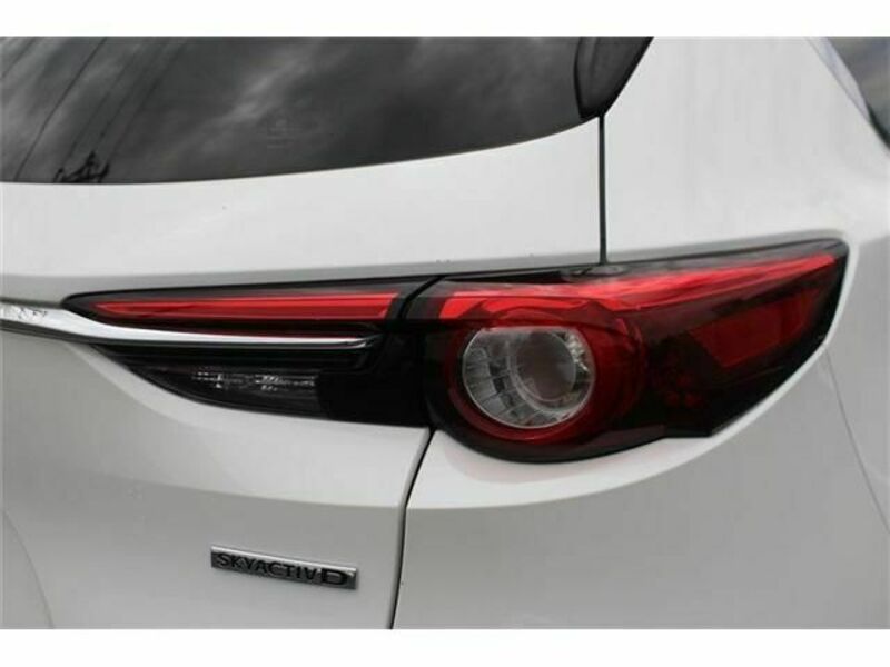 CX-8-11