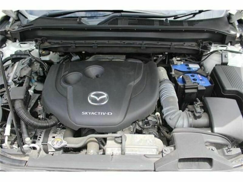 CX-8-17