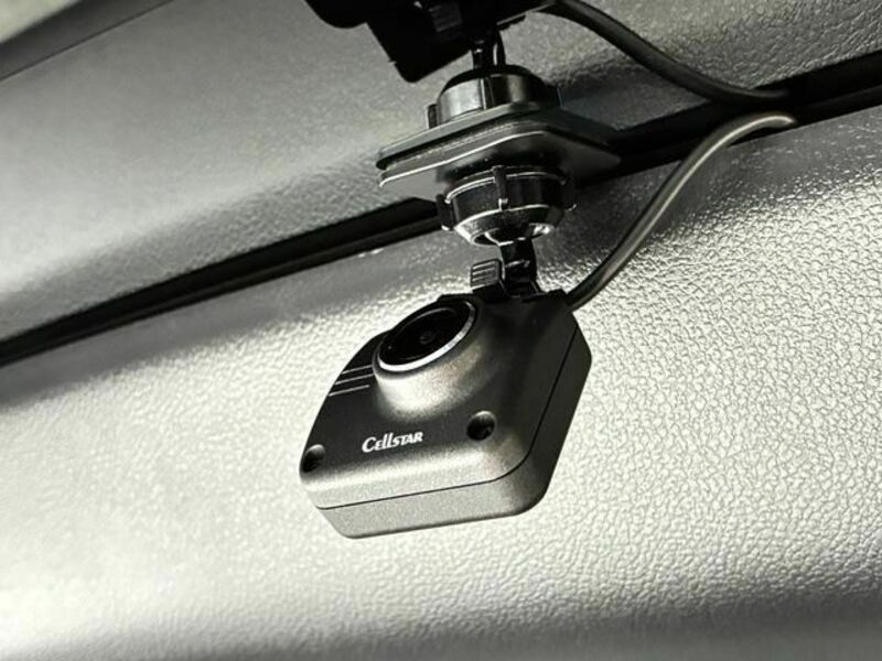 ALPHARD-19