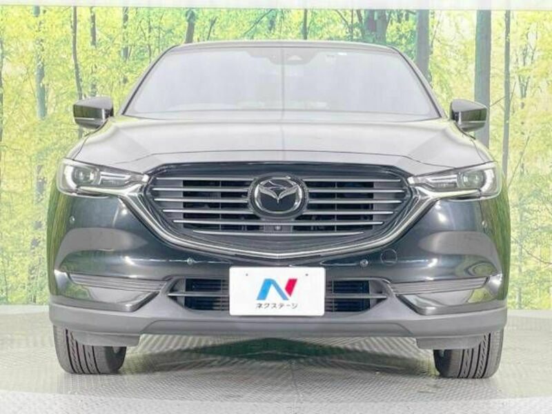 CX-8-15