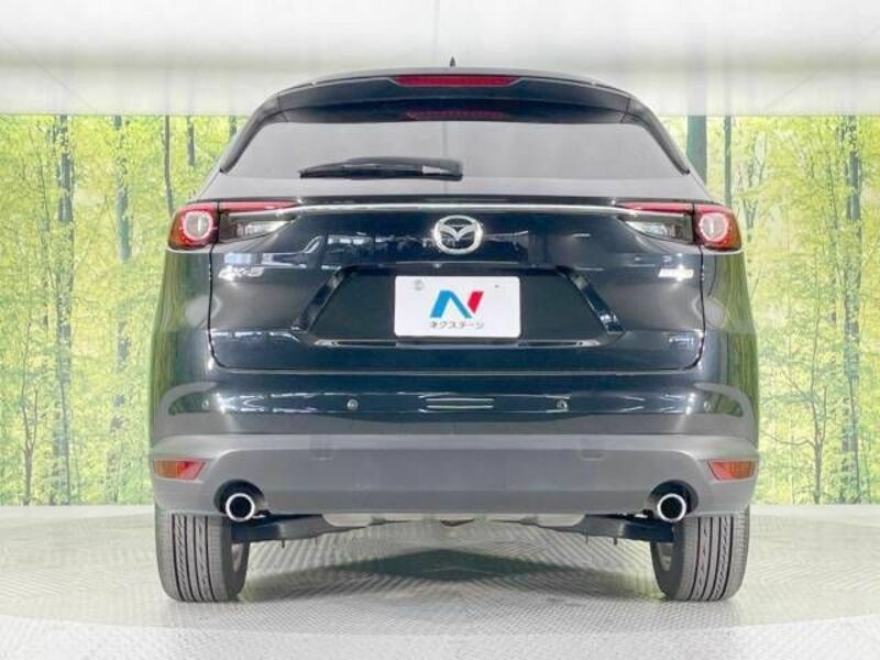 CX-8-16