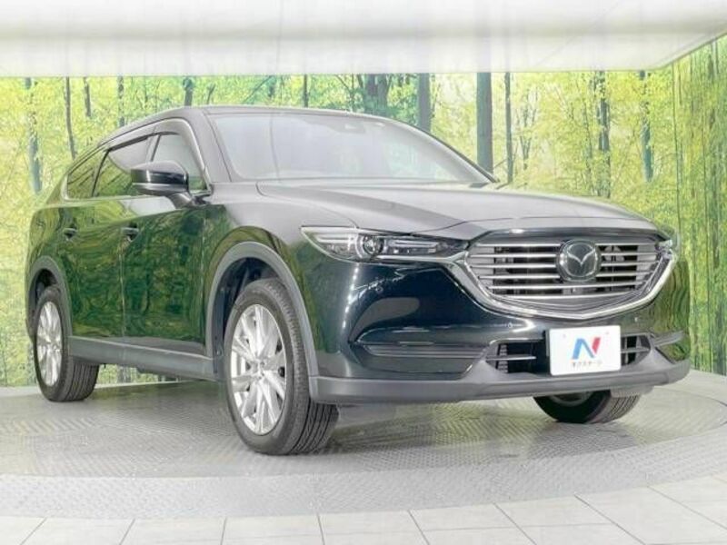 CX-8-17