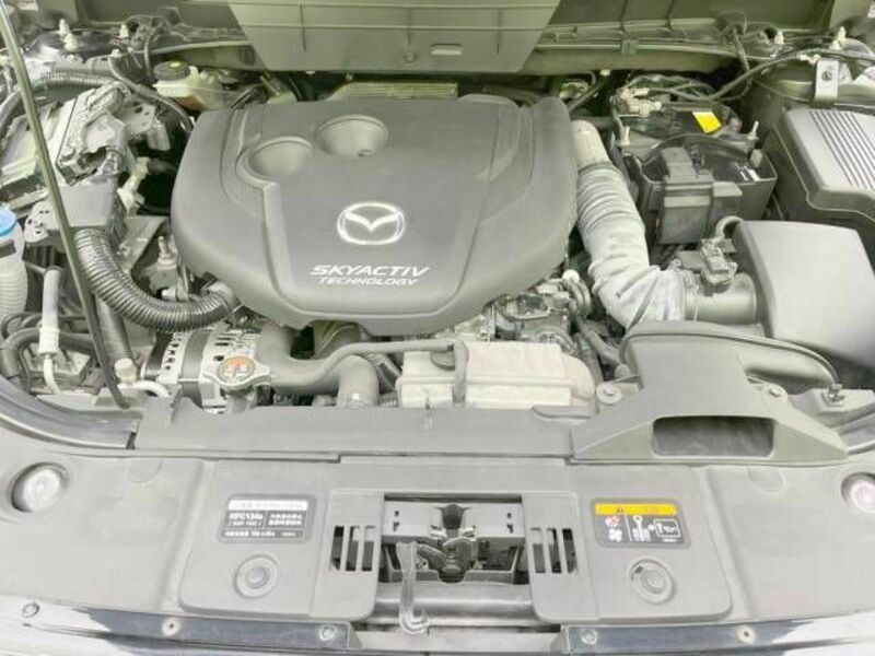 CX-8-19