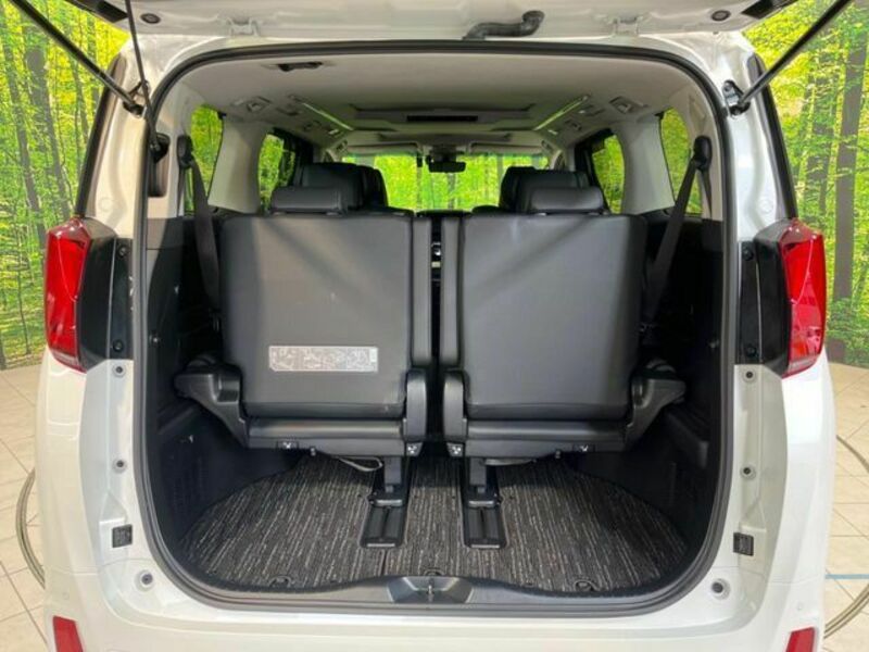ALPHARD-9