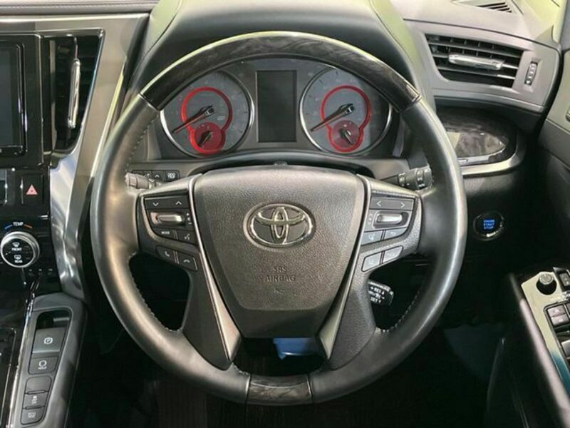 ALPHARD-10