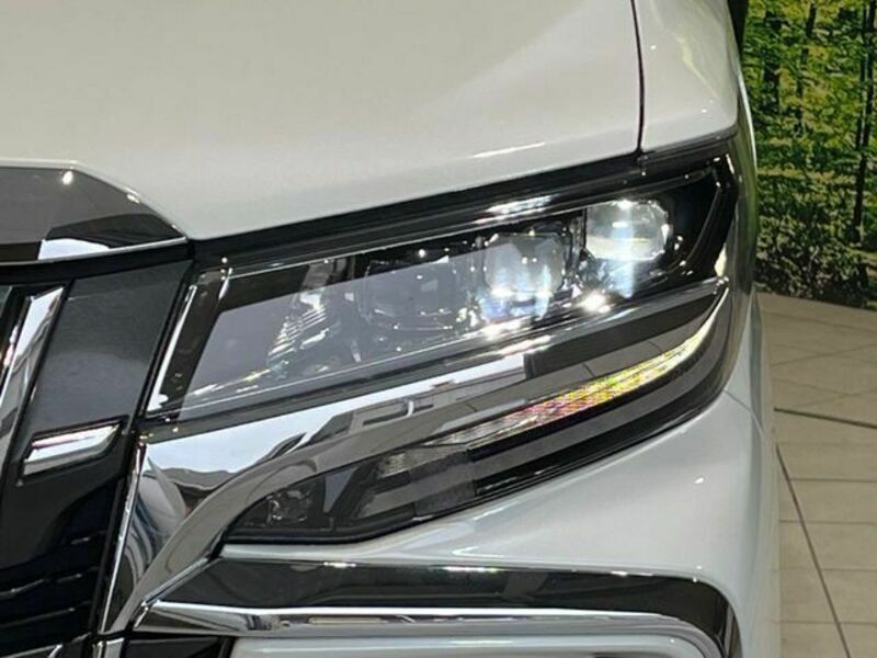 ALPHARD-11