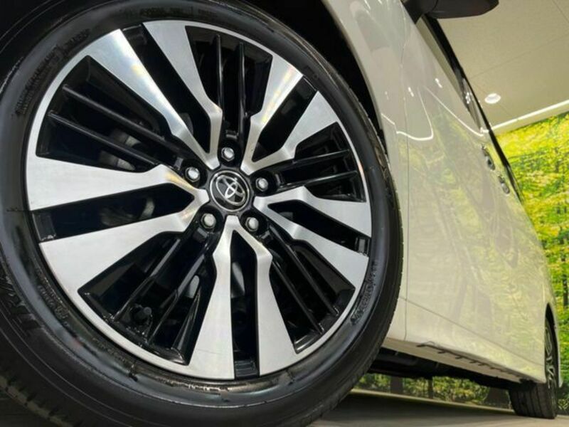 ALPHARD-12