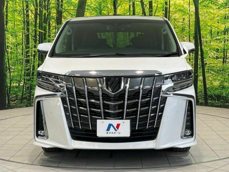 ALPHARD-13