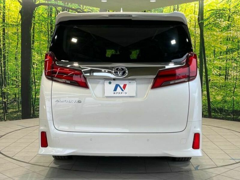 ALPHARD-14