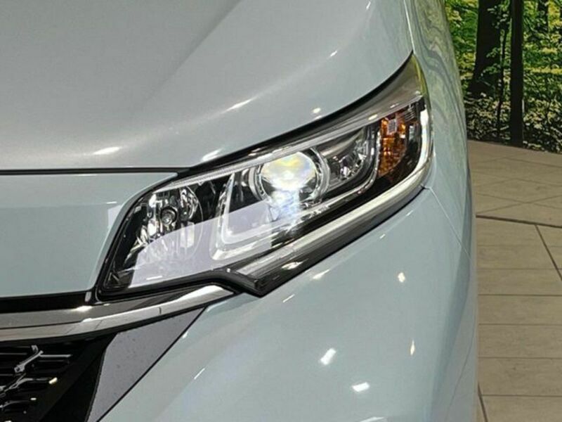FREED HYBRID-11