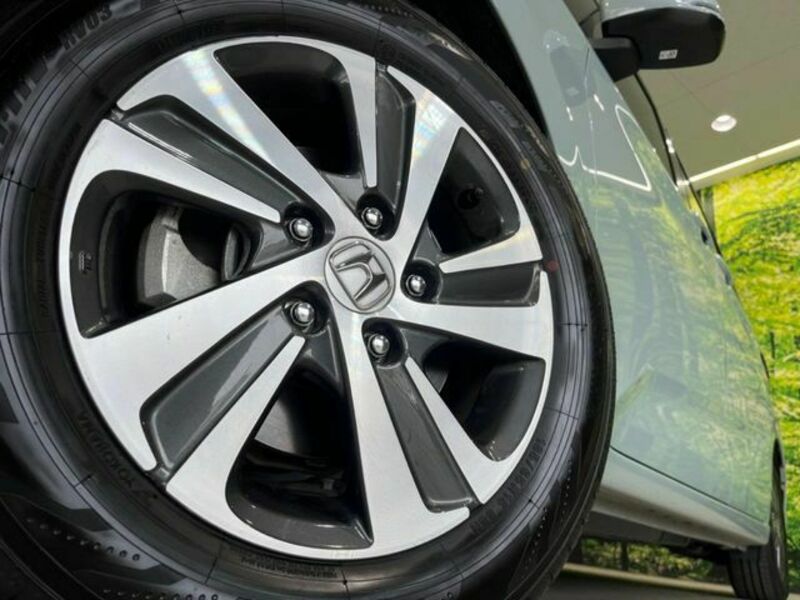 FREED HYBRID-12