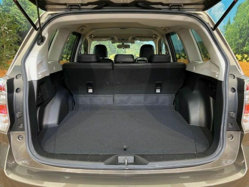 FORESTER-10