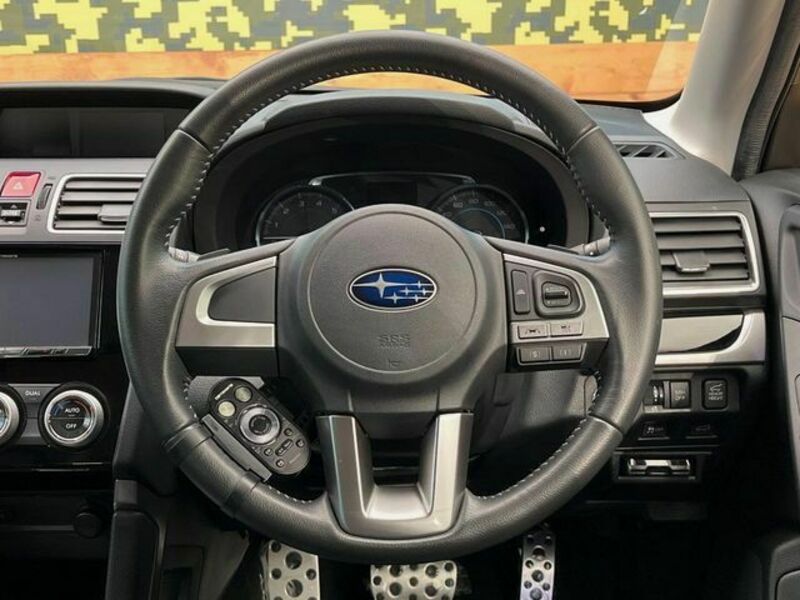 FORESTER-11