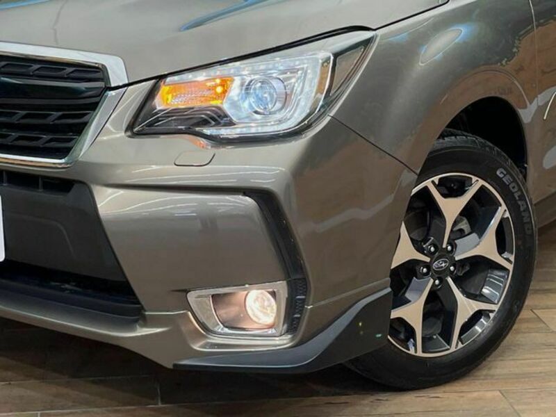 FORESTER-12