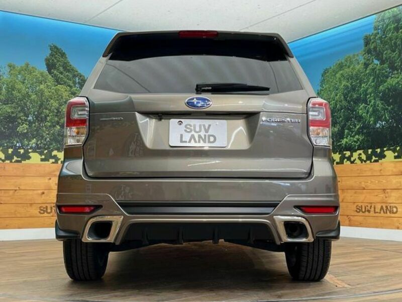 FORESTER-15