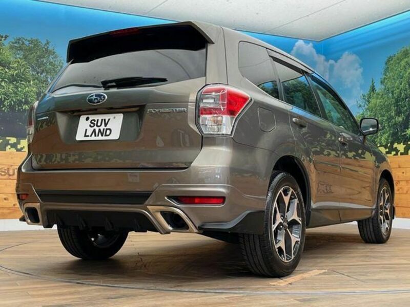 FORESTER-17