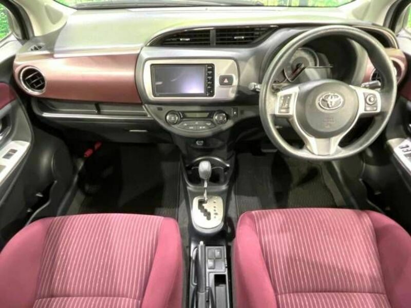 VITZ-1