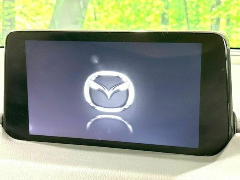 CX-8-2