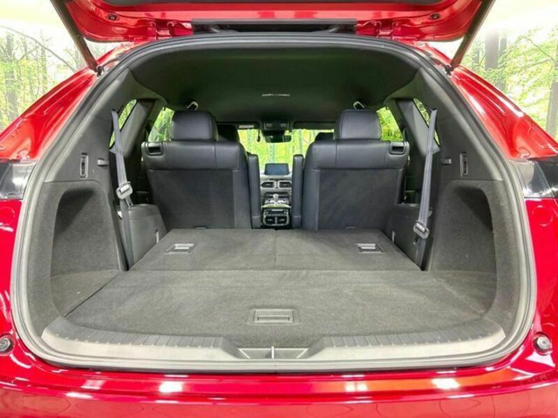 CX-8-11