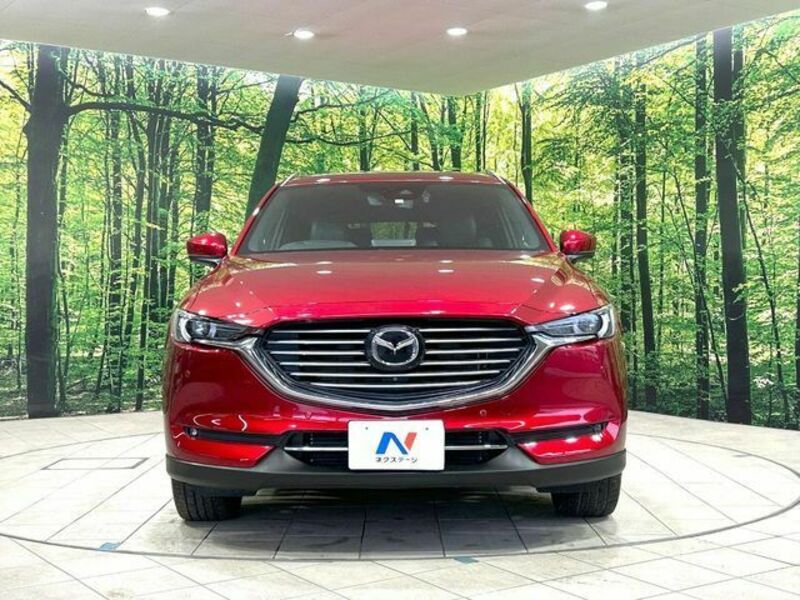 CX-8-14