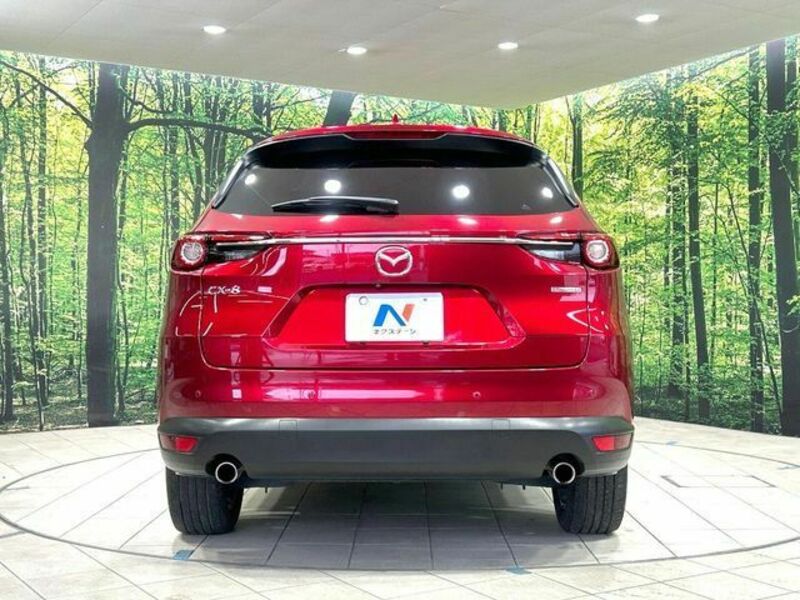 CX-8-15
