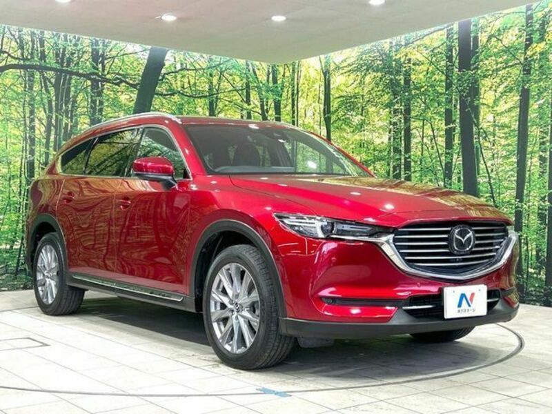 CX-8-16