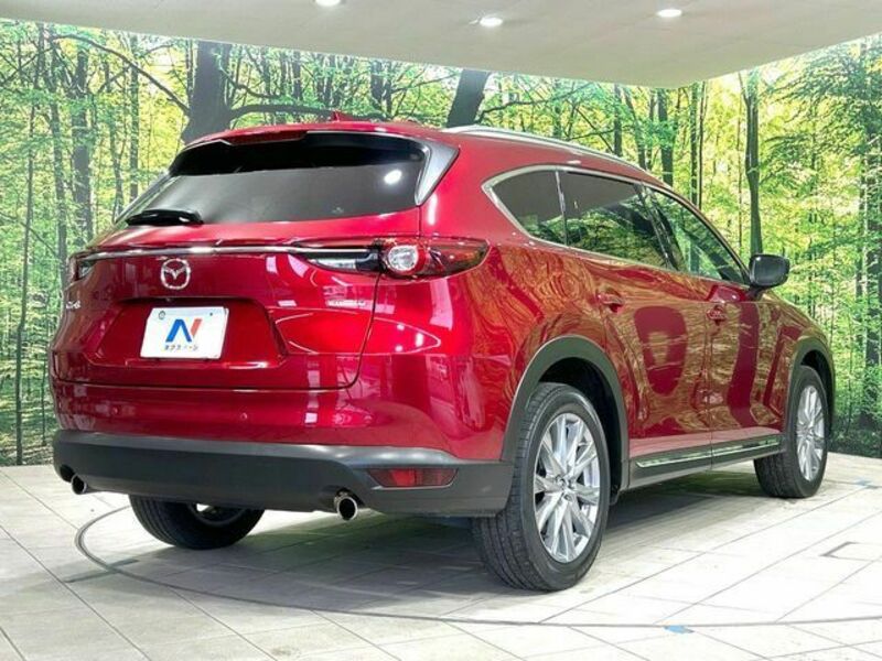 CX-8-17