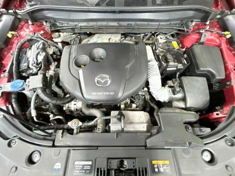 CX-8-18