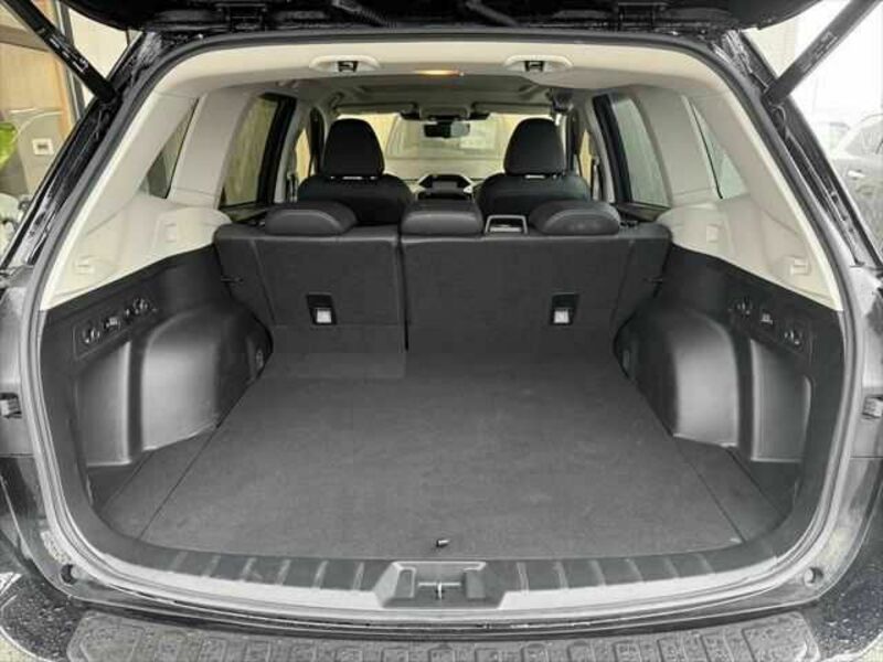 FORESTER-9