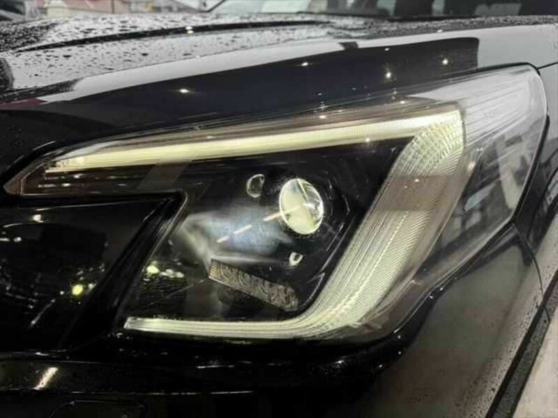 FORESTER-11