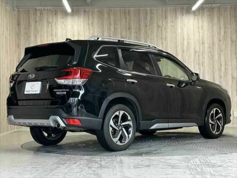 FORESTER-17